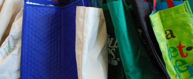 Reusable Bags for Fundraising: Sell and Save Environment!