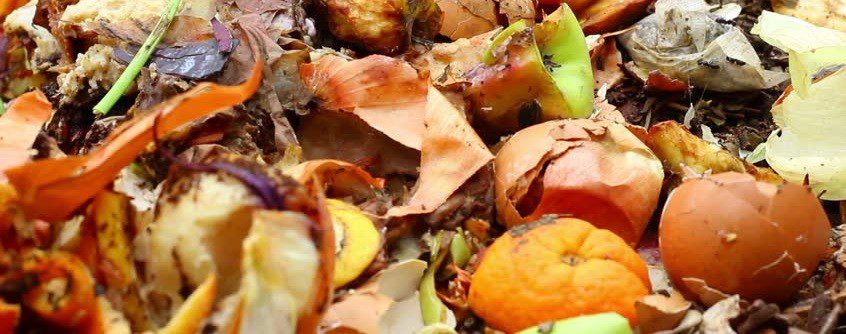 Decompose your Kitchen Scraps