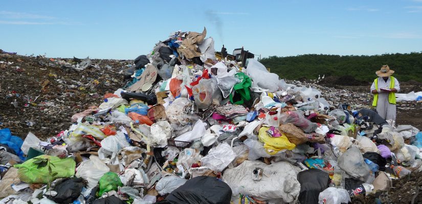 What is Packaging Waste Doing to Our Environment?