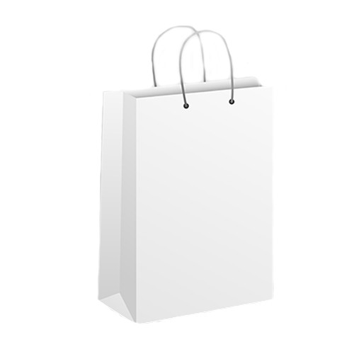 Kraft Bags product 2